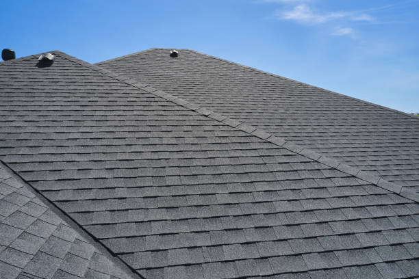 Best Roof Maintenance and Cleaning  in East Franklin, NJ